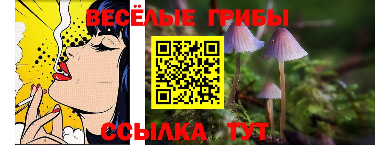 Сердобск  где продают наркотики  Псилоцибиновые грибы Cubensis  Вход с VPN  Псилоцибиновые грибы ЛСД 