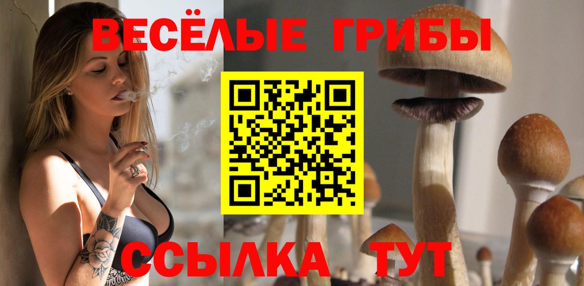 Псилоцибиновые грибы Cubensis Сердобск